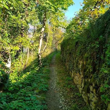 Private Near Bellagio View Lake Como