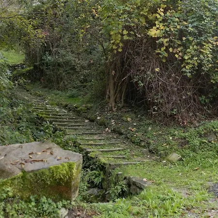 Private Near Bellagio View Lake Como レッツェノ